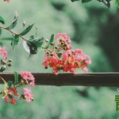 竞彩足球app下载手机版