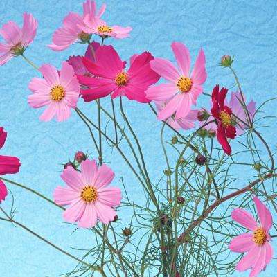 爱游戏ayx中国官方网站